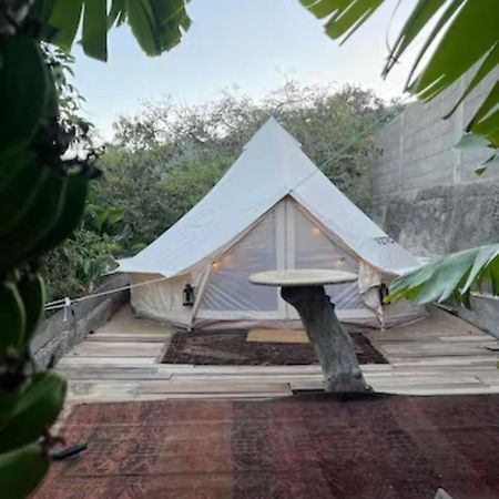 Yurt In Avocado Garden Otel Güimar Dış mekan fotoğraf