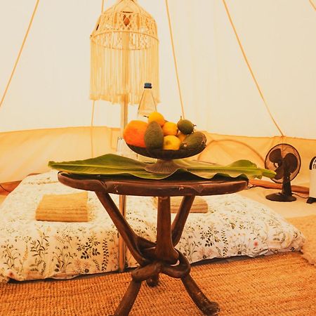 Yurt In Avocado Garden Otel Güimar Dış mekan fotoğraf