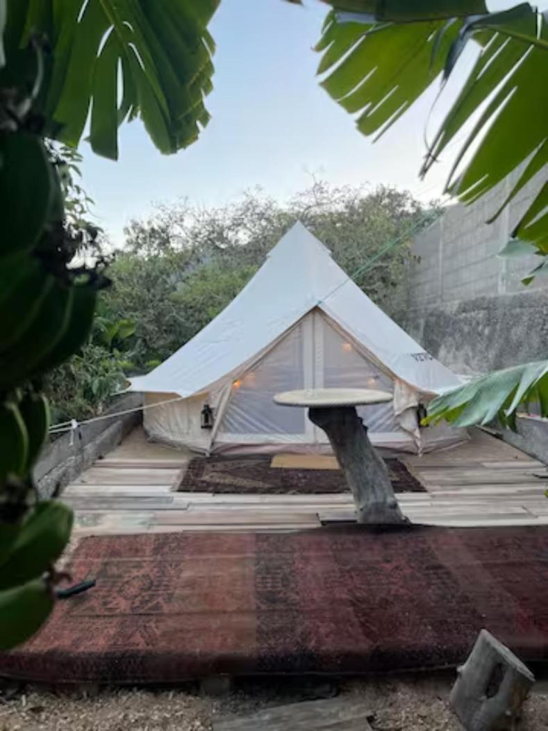 Yurt In Avocado Garden Otel Güimar Dış mekan fotoğraf