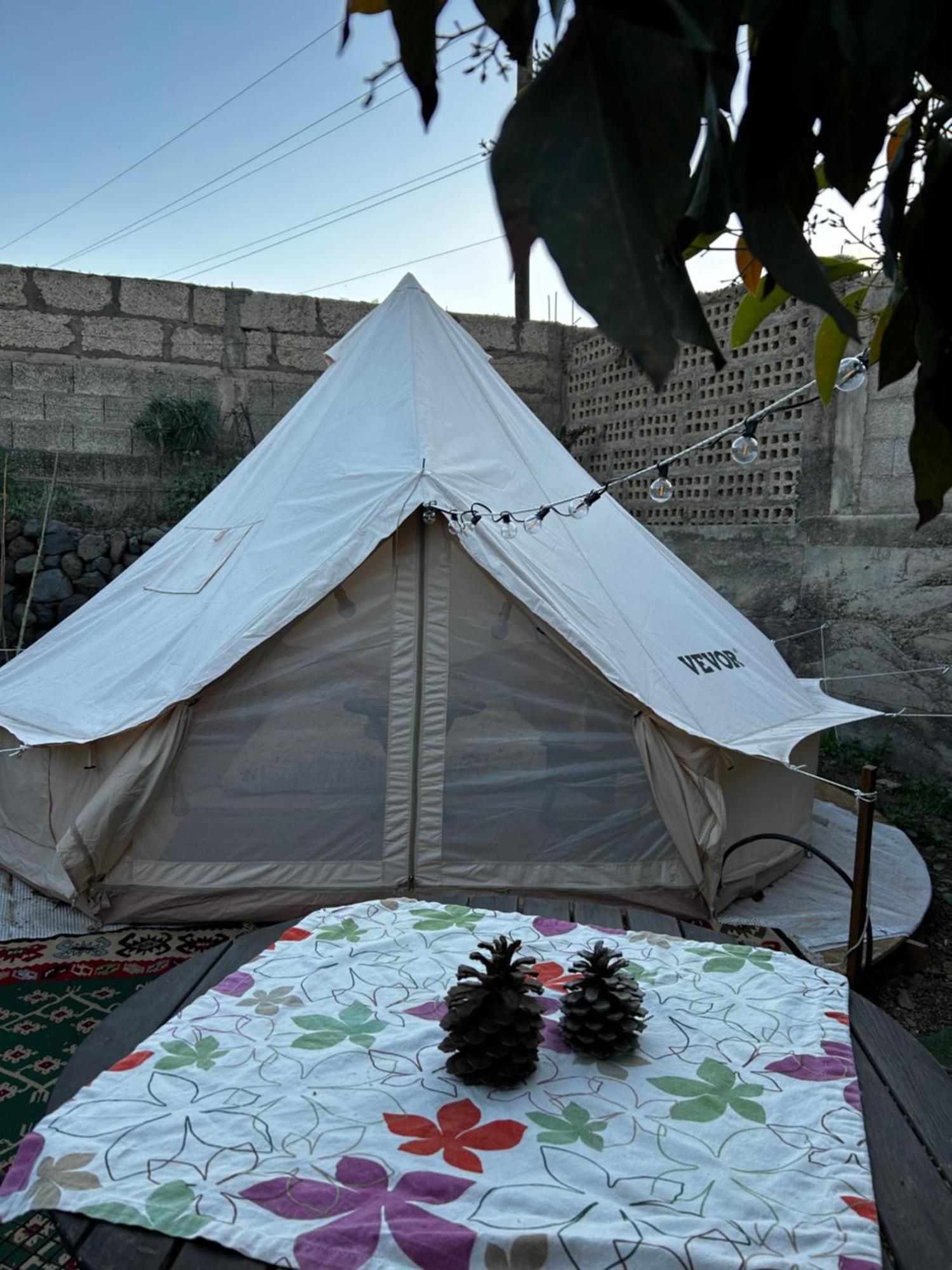 Yurt In Avocado Garden Otel Güimar Dış mekan fotoğraf