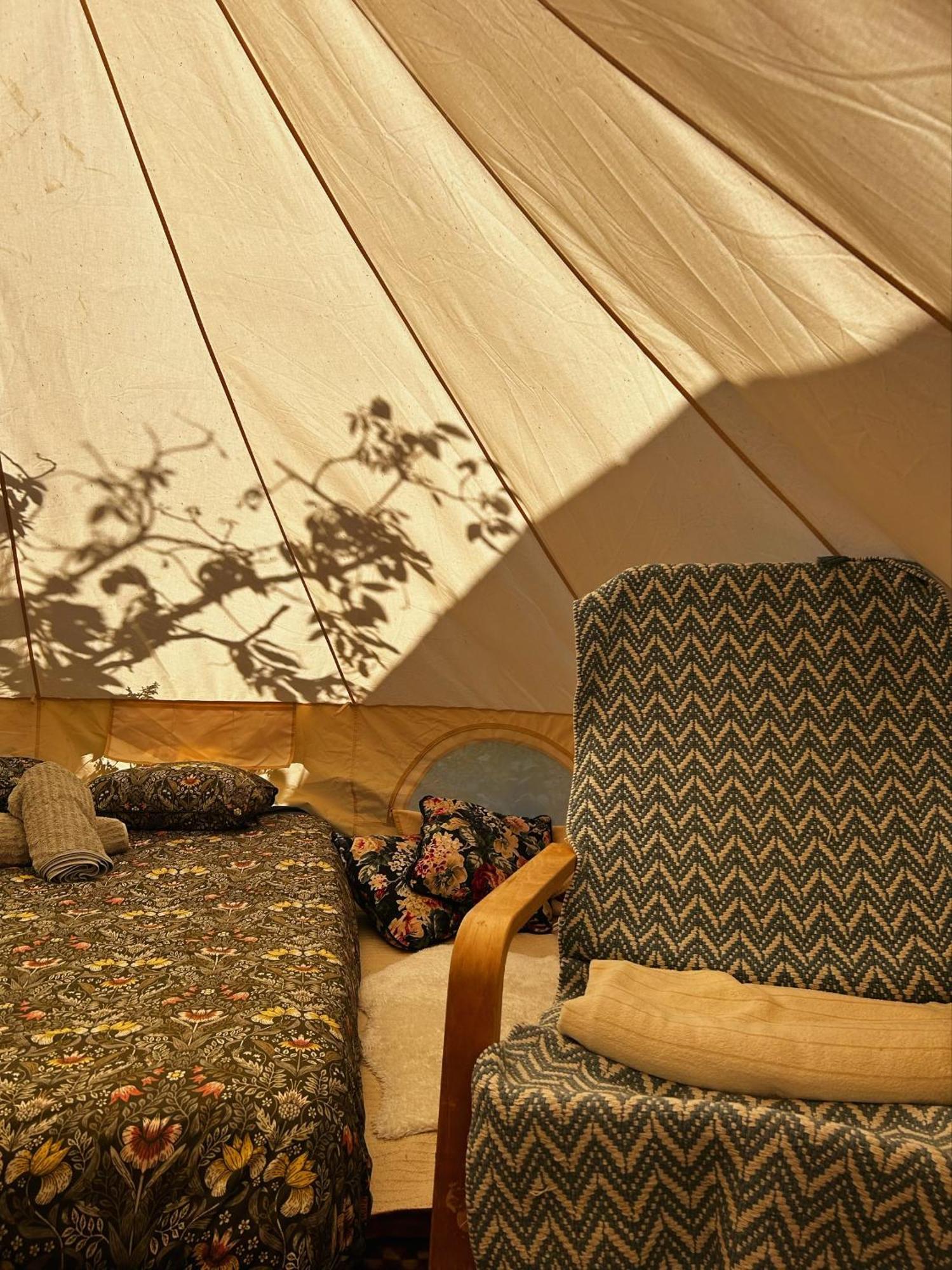 Yurt In Avocado Garden Otel Güimar Dış mekan fotoğraf