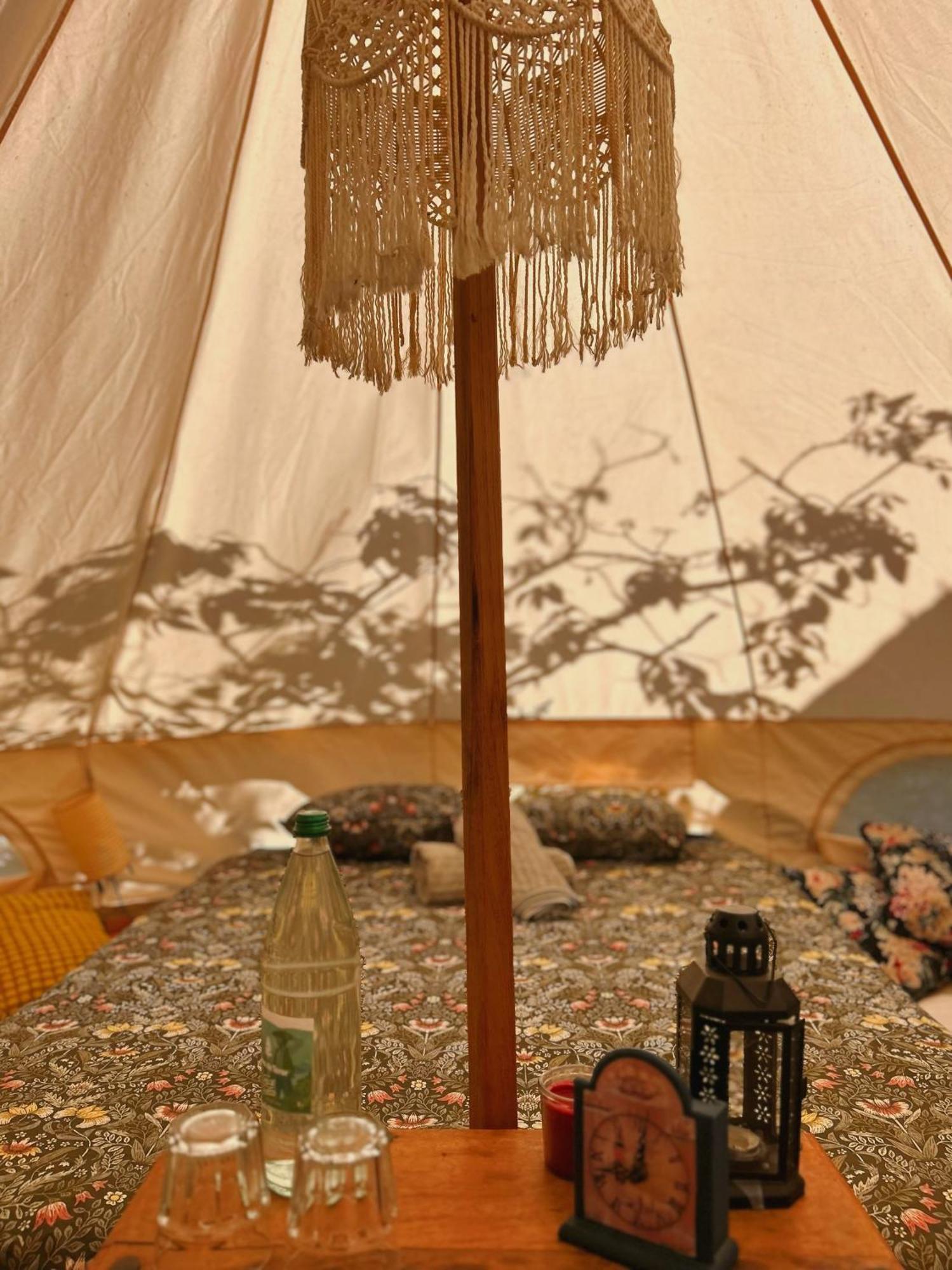 Yurt In Avocado Garden Otel Güimar Dış mekan fotoğraf