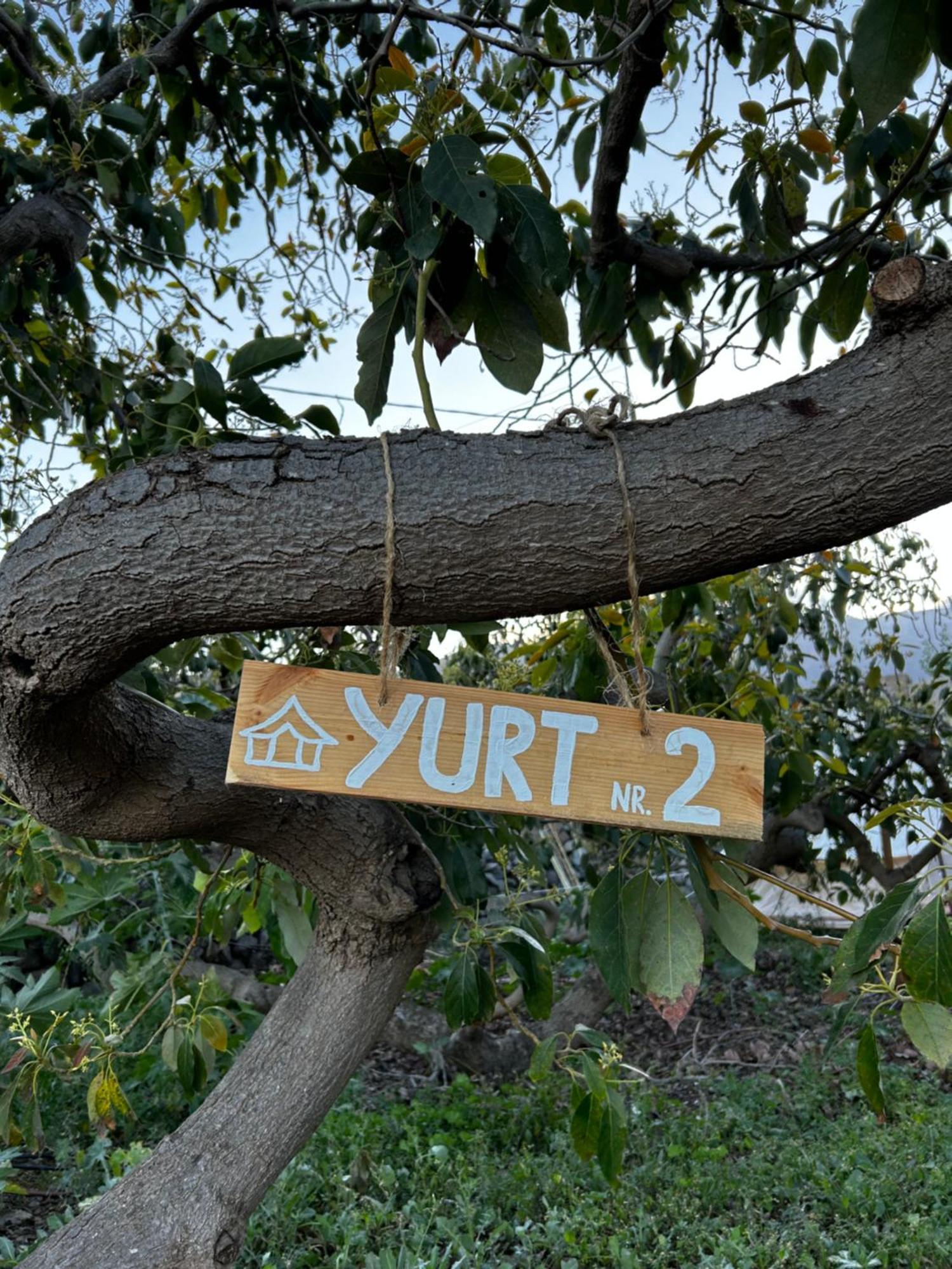 Yurt In Avocado Garden Otel Güimar Dış mekan fotoğraf