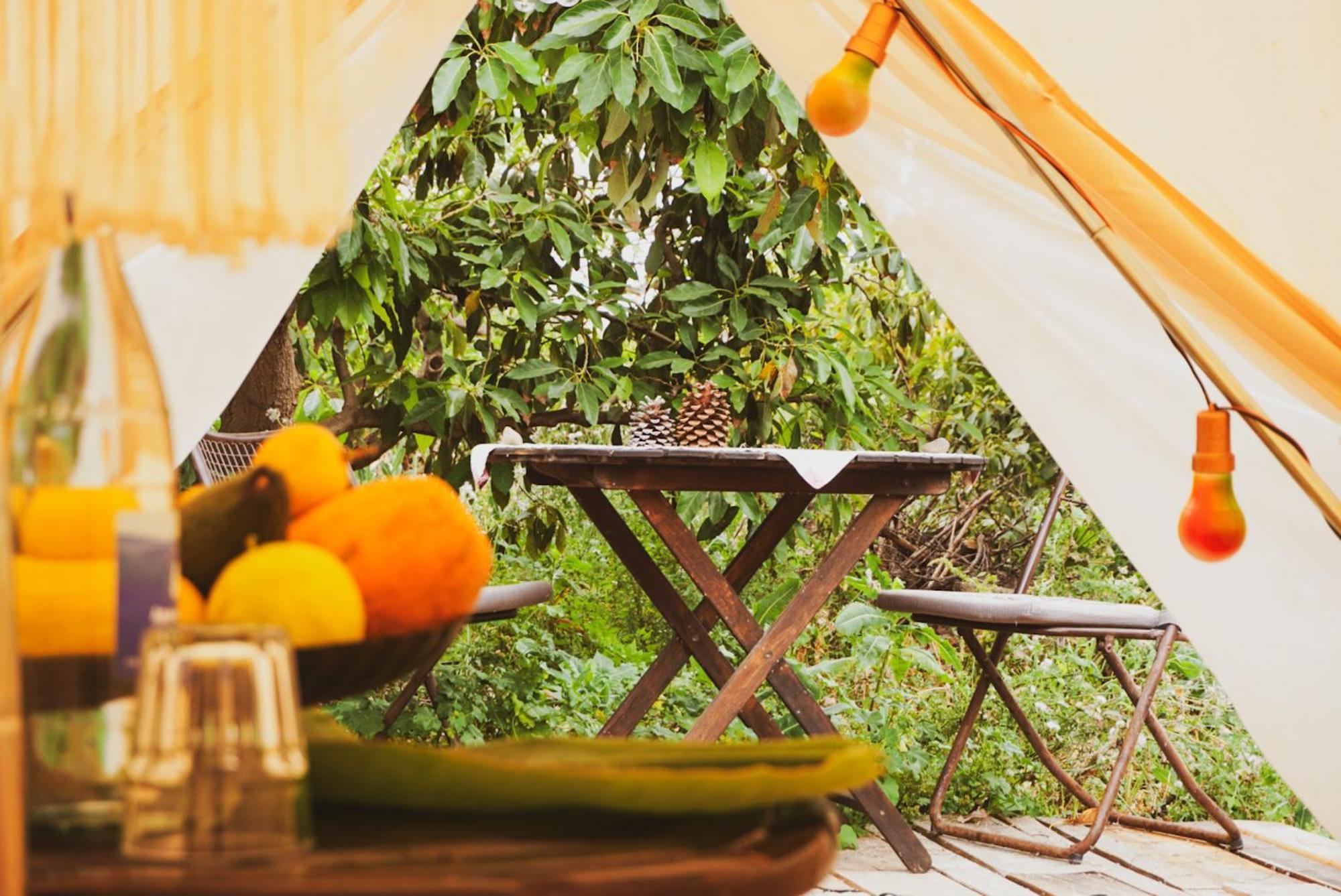 Yurt In Avocado Garden Otel Güimar Dış mekan fotoğraf
