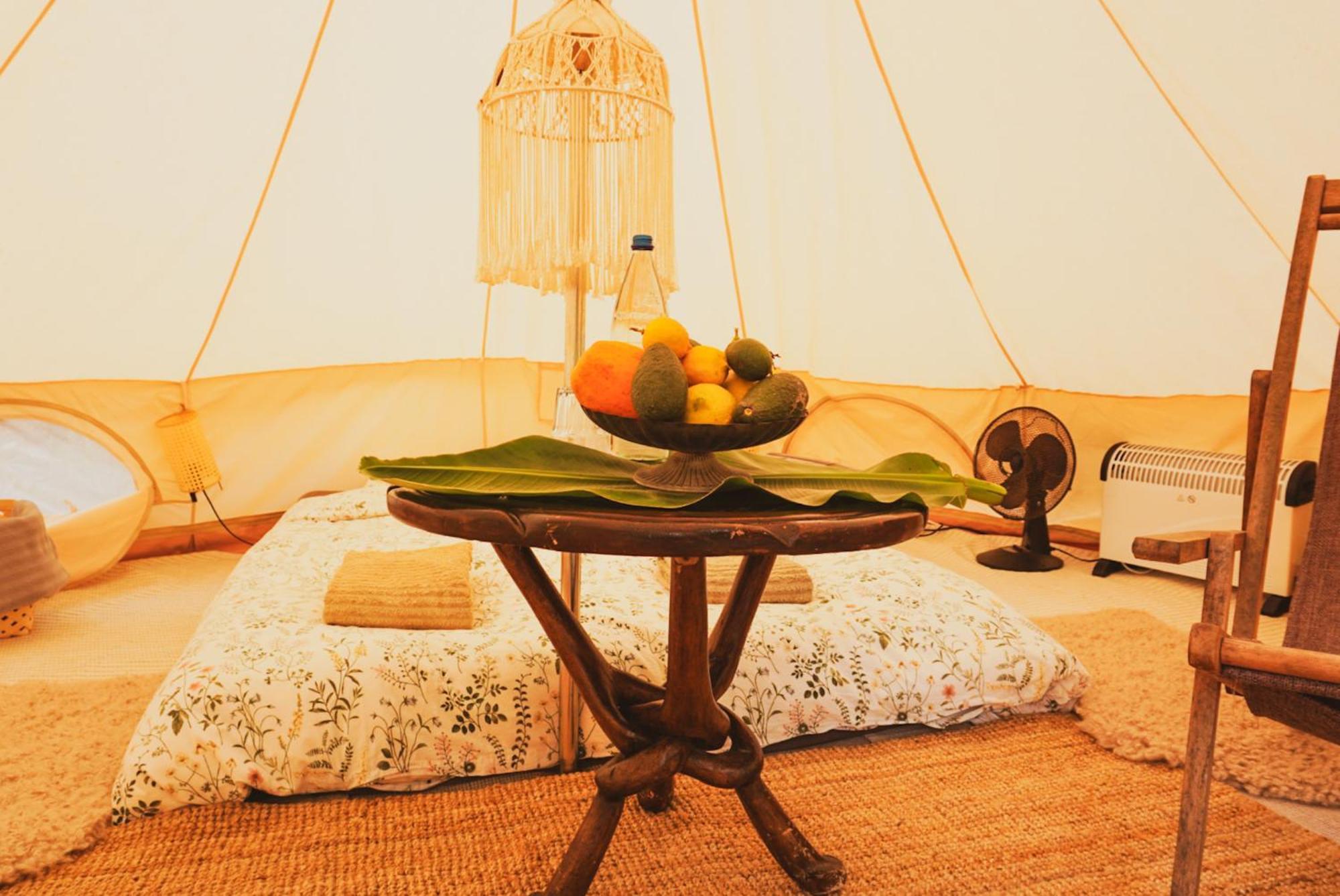 Yurt In Avocado Garden Otel Güimar Dış mekan fotoğraf