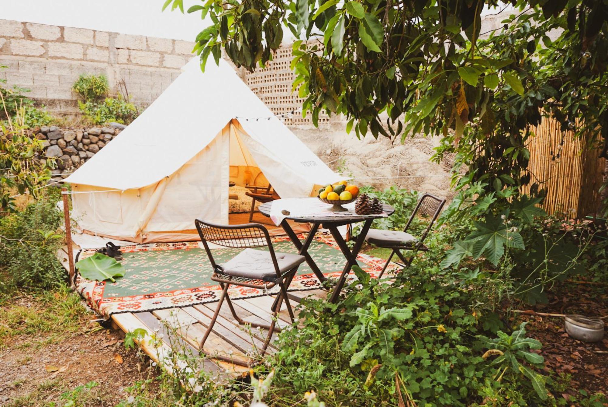 Yurt In Avocado Garden Otel Güimar Dış mekan fotoğraf